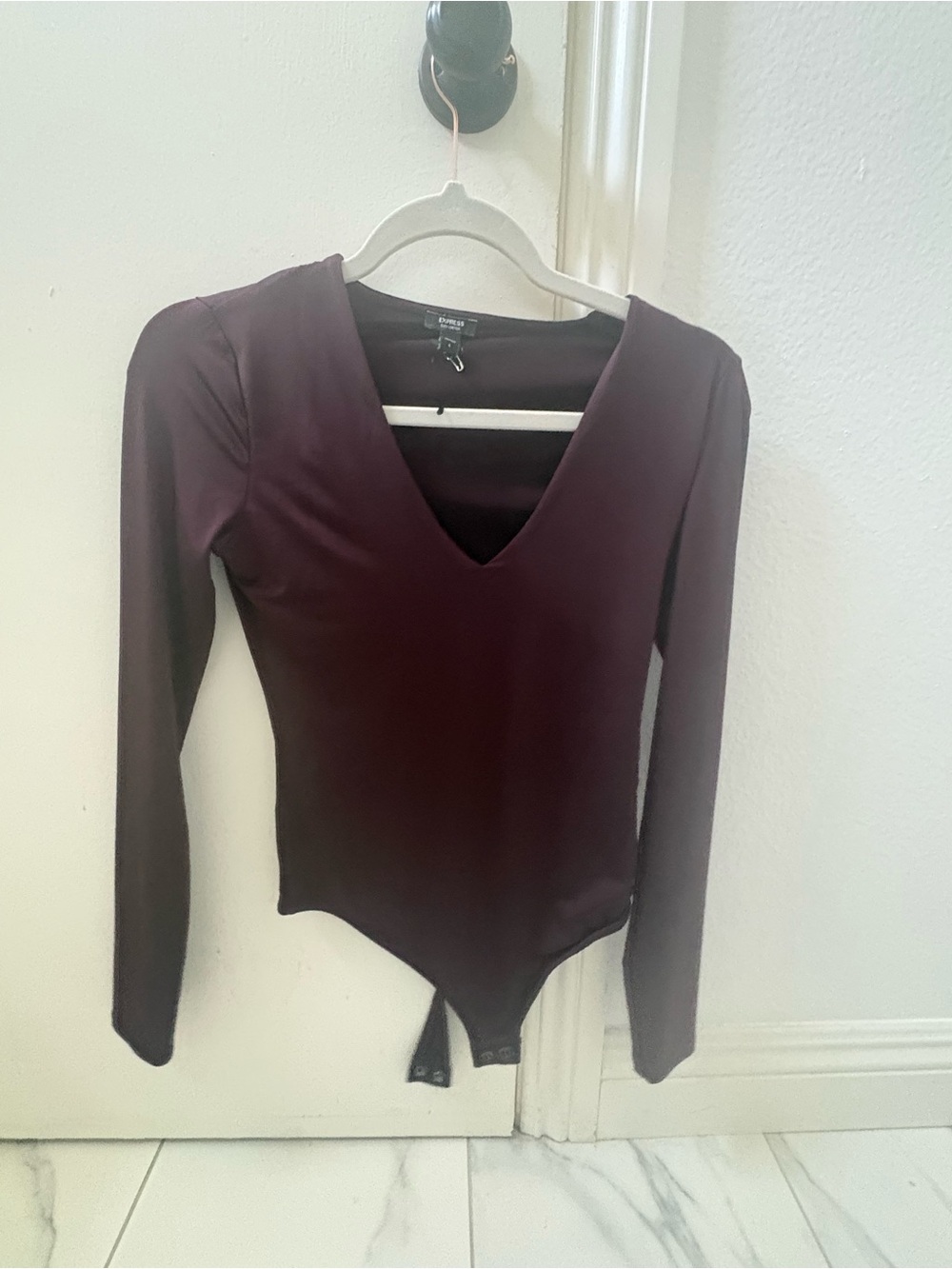 Express Long Sleeve V-Neck Bodysuit in Plum